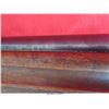 Image 5 : BROWNING SHOTGUN