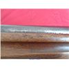 Image 7 : BROWNING SHOTGUN
