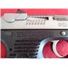 Image 6 : RUGER P95