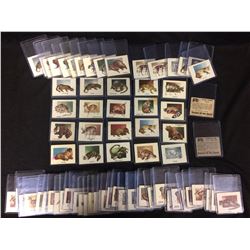 1951 TOPPS ANIMALS OF THE WORLD TRADING CARDS LOT