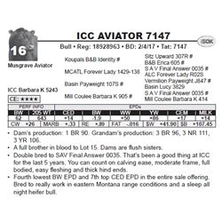 ICC AVIATOR 7147