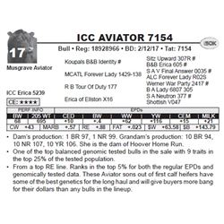 ICC AVIATOR 7154