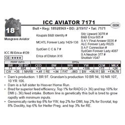 ICC AVIATOR 7171