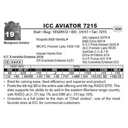 ICC AVIATOR 7215