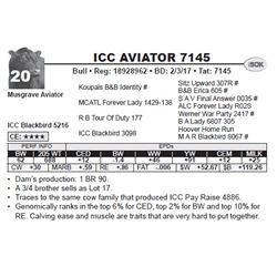 ICC AVIATOR 7145