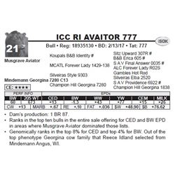 ICC RI AVAITOR 777