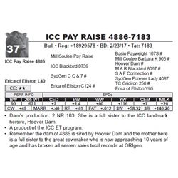 ICC PAY RAISE 4886-7183