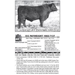 ICC PAYWEIGHT 1682-7137