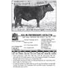 Image 1 : ICC RI PAYWEIGHT 107S-778