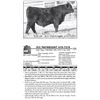 Image 1 : ICC PAYWEIGHT 419-7210
