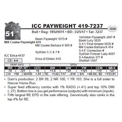 ICC PAYWEIGHT 419-7237