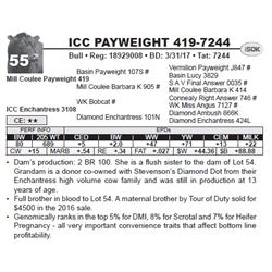 ICC PAYWEIGHT 419-7244