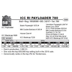ICC RI PAYLOADER 780