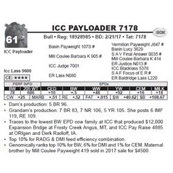 ICC PAYLOADER 7178
