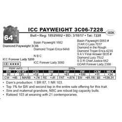 ICC PAYWEIGHT 3C06-7228