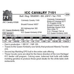 ICC CAVALRY 7151