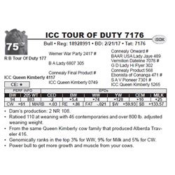 ICC TOUR OF DUTY 7176