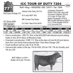 ICC TOUR OF DUTY 7204