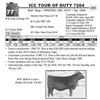 Image 1 : ICC TOUR OF DUTY 7204