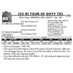 ICC RI TOUR OF DUTY 783