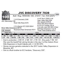 JVC DISCOVERY 7039