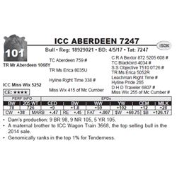 ICC ABERDEEN 7247