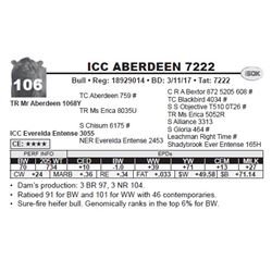 ICC ABERDEEN 7222