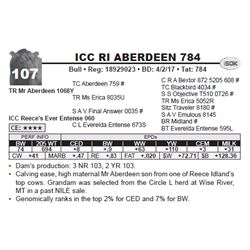 ICC RI ABERDEEN 784