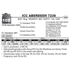 ICC ABERDEEN 7238