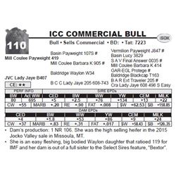 ICC COMMERCIAL BULL