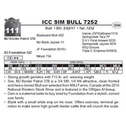 ICC SIM BULL 7252