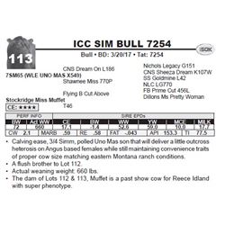 ICC SIM BULL 7254