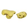 Image 2 : Lot of (2) Alaskan Gold Nuggets 13.82 Grams