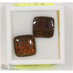 35) GENUINE CANADIAN AMMOLITE GEMSTONES