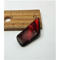 19 - RED FIRE NATURAL AMMOLITE