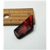 Image 1 : 19 - RED FIRE NATURAL AMMOLITE
