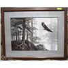 Image 1 : LARGE PROFESSIONALLY FRAMED "FLYING