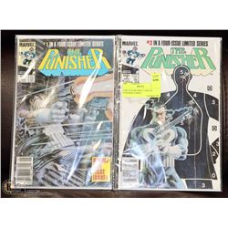 PAIR OF RARE PRICE VARIANT PUNISHER COMICS