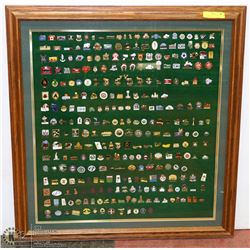 290 COLLECTIBLE CURLING PINS (FRAMED) 29"X31"