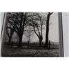 Image 2 : BLACK AND WHITE FRAMED PRINT
