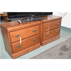 Pair of large two door bedside night table