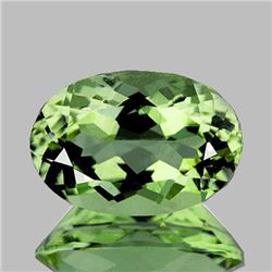 Natural Green Amethyst 18.72 Cts - FL