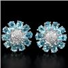 Image 1 : Natural Swiss Topaz Earrings