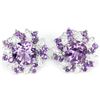 Image 1 : Natural Brazil Amethyst Stud Earrings