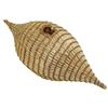 Image 1 : Paiute Basket