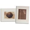 Image 1 : 2 E.S. Curtis Photogravures