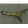 Image 2 : Deer Antler Cribbage Board - J.E.R.