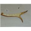 Image 3 : Deer Antler Cribbage Board - J.E.R.