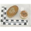 Image 3 : 2 Iroquois Baskets