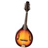 Image 1 : Mandolin
